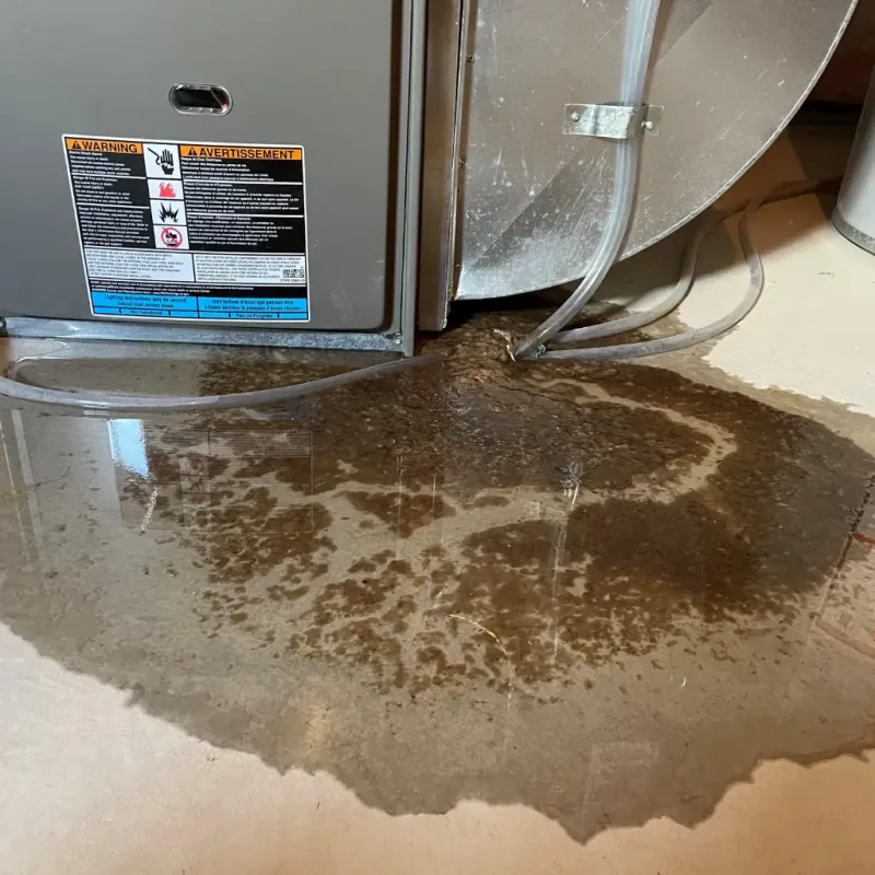 Appliance Leak Cleanup in Seven Lakes, NC